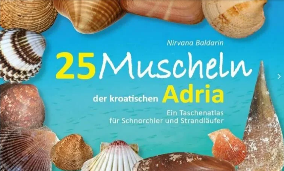 Kroatien Nachrichten Bild Muscheln