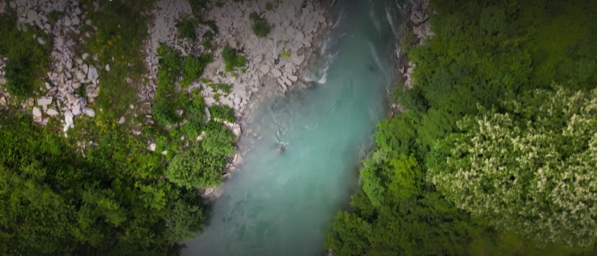 Screenshot 2024-10-18 081804