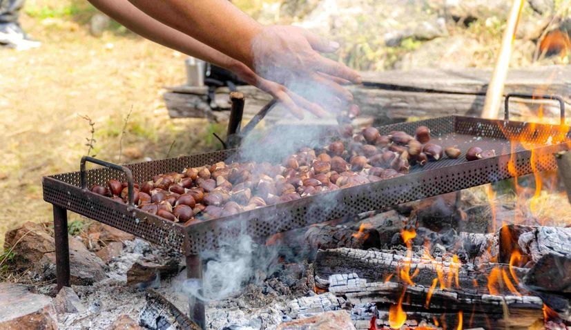 Kroatien Nachrichten Bild Zelinska Kestenijada 4