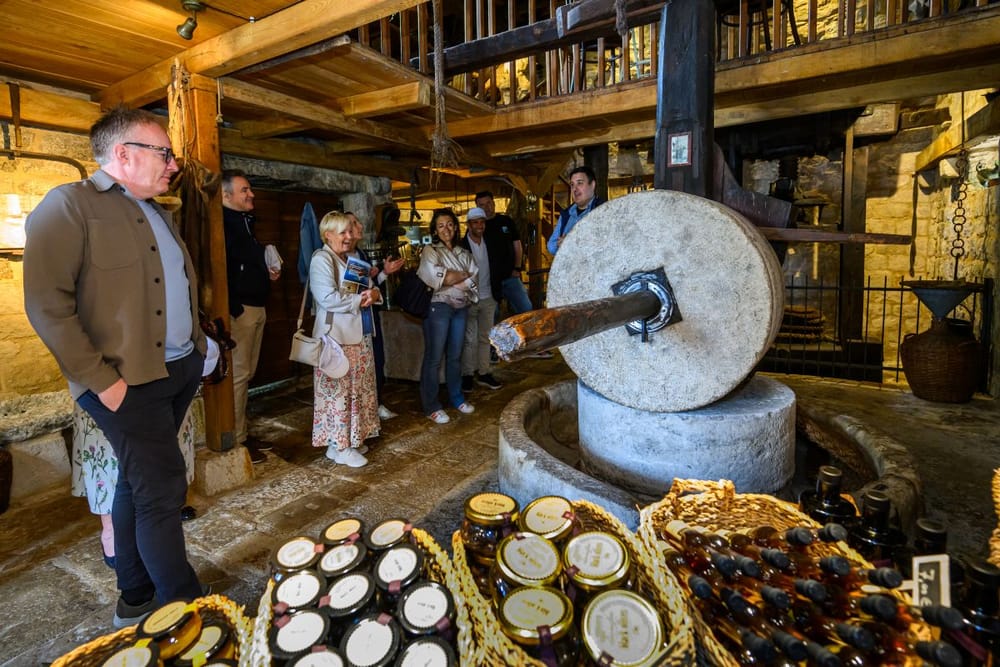 Region Split-Dalmatien: „Europäische Gastronomieregion 2027“? 6 Kroatien Nachrichten Bild 2 15