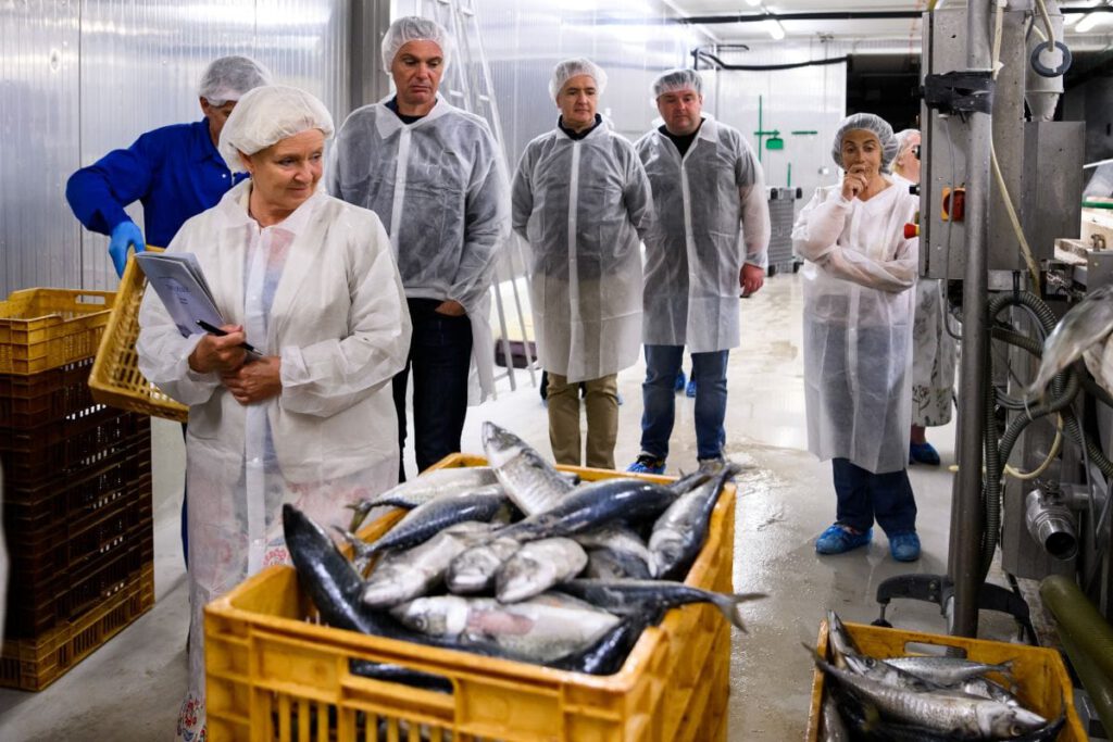 Region Split-Dalmatien: „Europäische Gastronomieregion 2027“? 8 Kroatien Nachrichten Bild 3 16