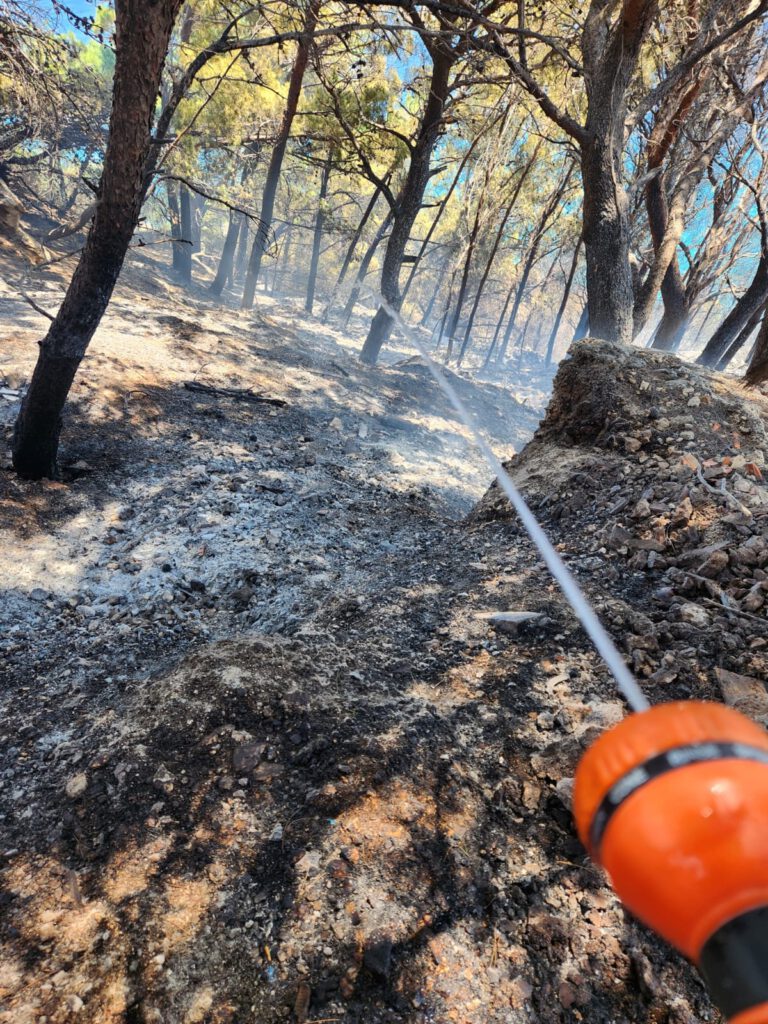 Galerie des Grauens, sehen Sie, was nach dem Brand in Pisek übrig blieb 8 Kroatien Nachrichten Bild 5 9