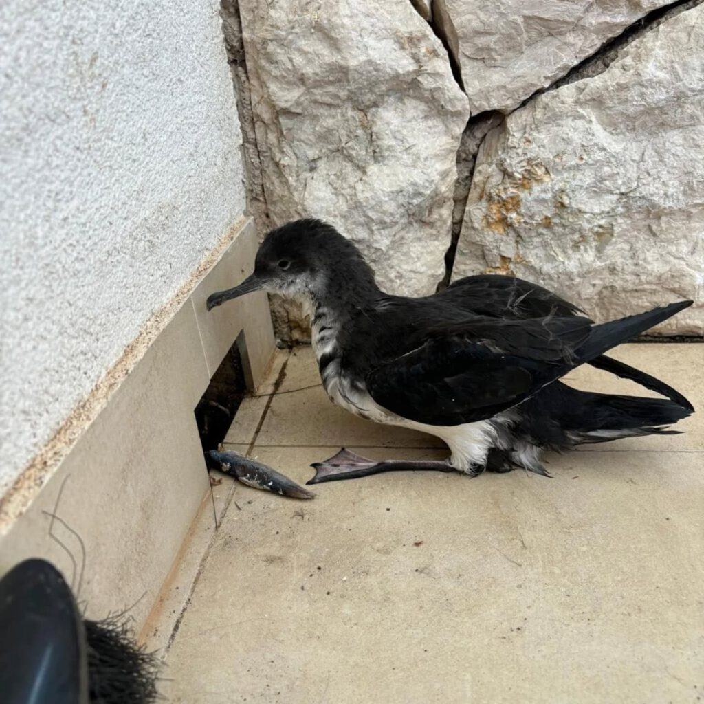 Kroatien Nachrichten Bild 3 1