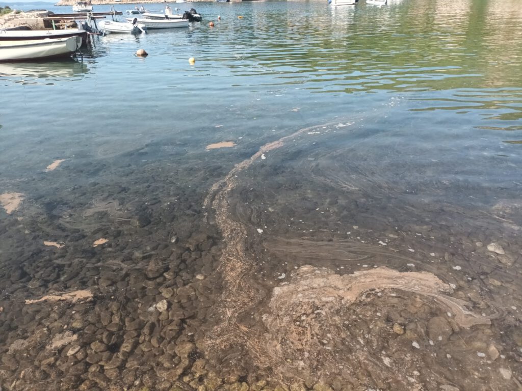 Kroatien Nachrichten Bild 4 18