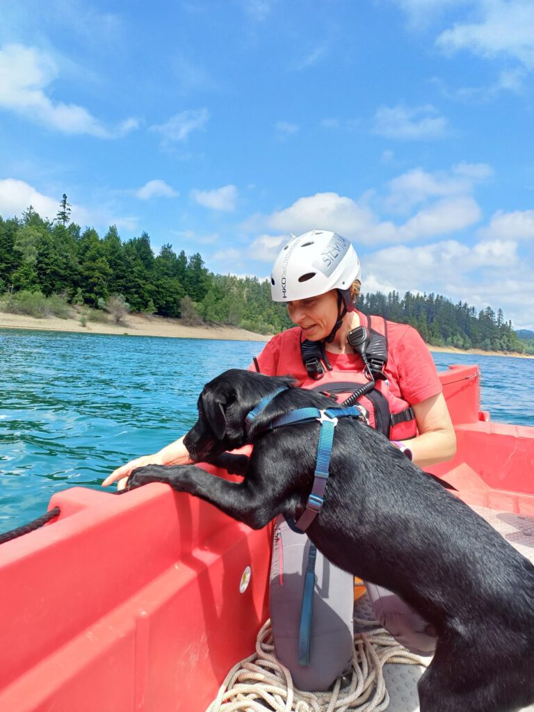 Das ist Marley – der neue Star der Zadar HGSS! 6 Kroatien Nachrichten Bild 4 7