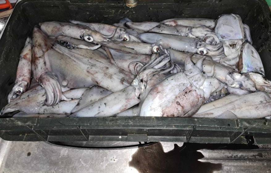 Kroatien Nachrichten Bild 3 22