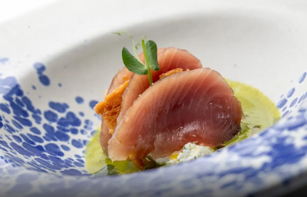 5 Abende an der Poreč Riviera 8 Kroatien Nachrichten Bild 5 11