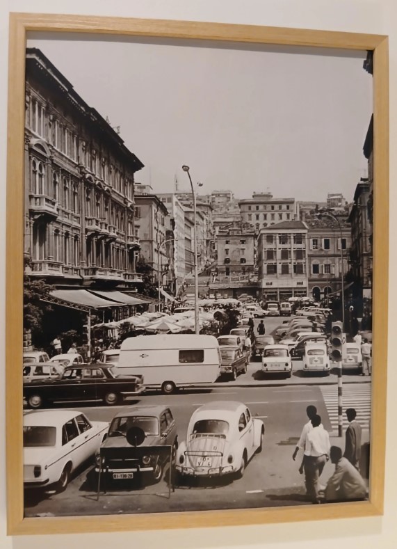 Tonnenweise Mandarinen verderben 7 Kroatien Nachrichten Bild 3 4