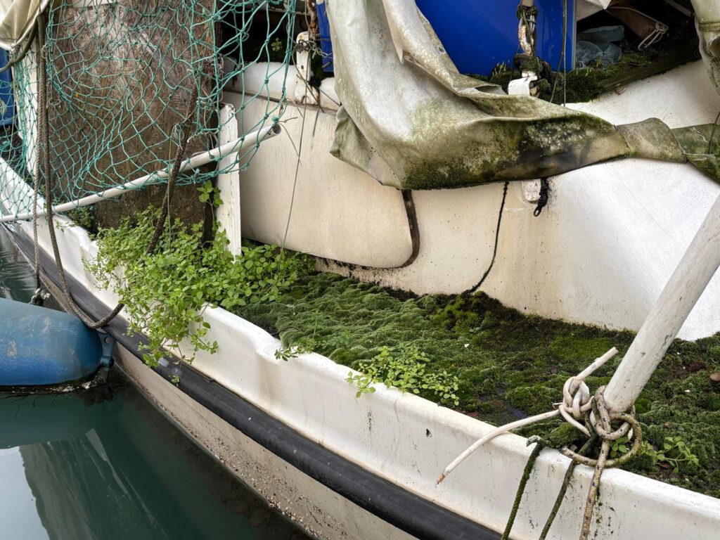 Kroatien Nachrichten Bild 4 1