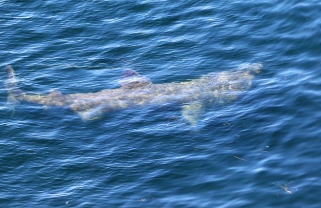 Kroatien Nachrichten Bild Screenshot 2026 02 22 132549