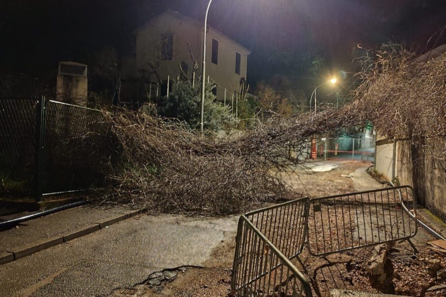 Massive Probleme durch starke Winde in Rijeka 6 Kroatien Nachrichten Bild 5 2