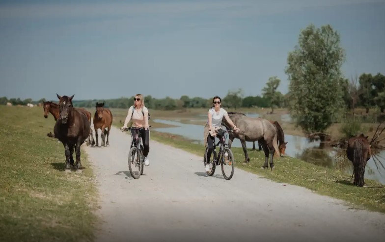 Lonjsko polje: Saisoneröffnung mit Natur, Tradition und Erlebnissen 6 Kroatien Nachrichten Bild 7 2