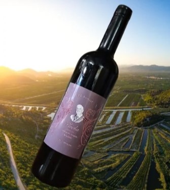 Kroatien Nachrichten Bild 2 14