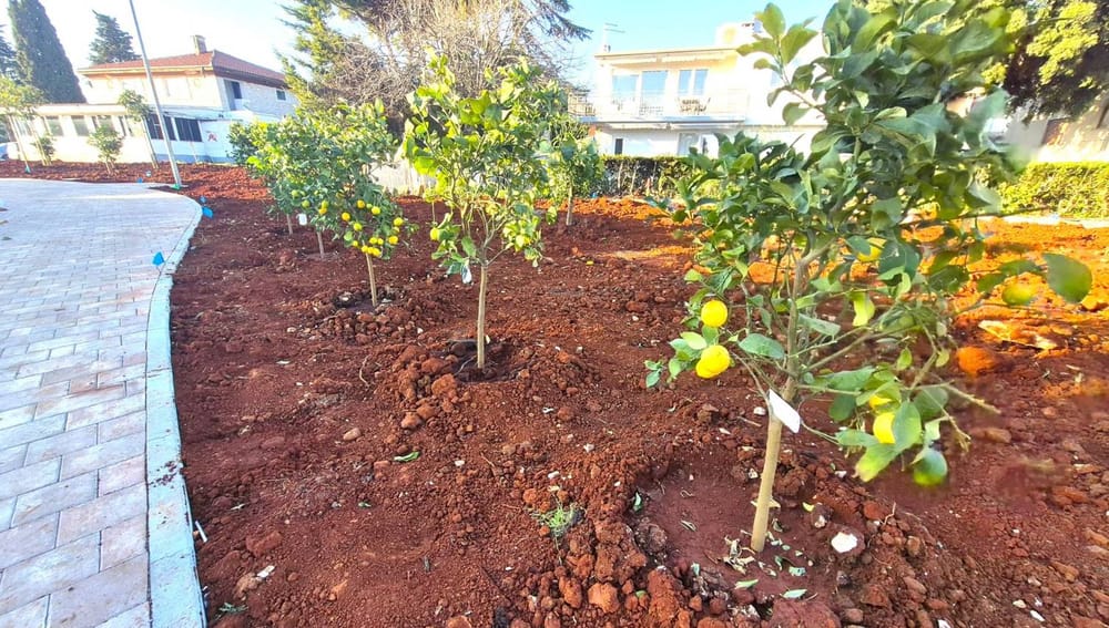 Umag bekommt eine neue duftende Oase 6 Kroatien Nachrichten Bild 3 3