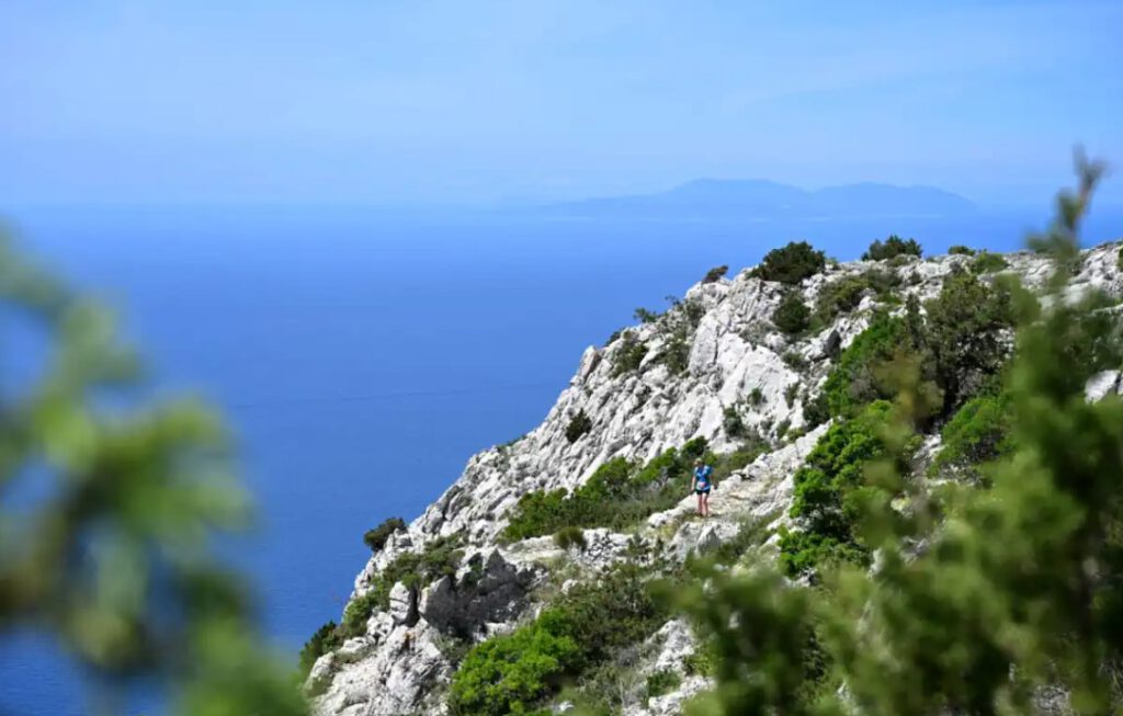 Frühling in Dalmatien: Wenn die Region zu neuem Leben erwacht 9 Kroatien Nachrichten Bild 5 5