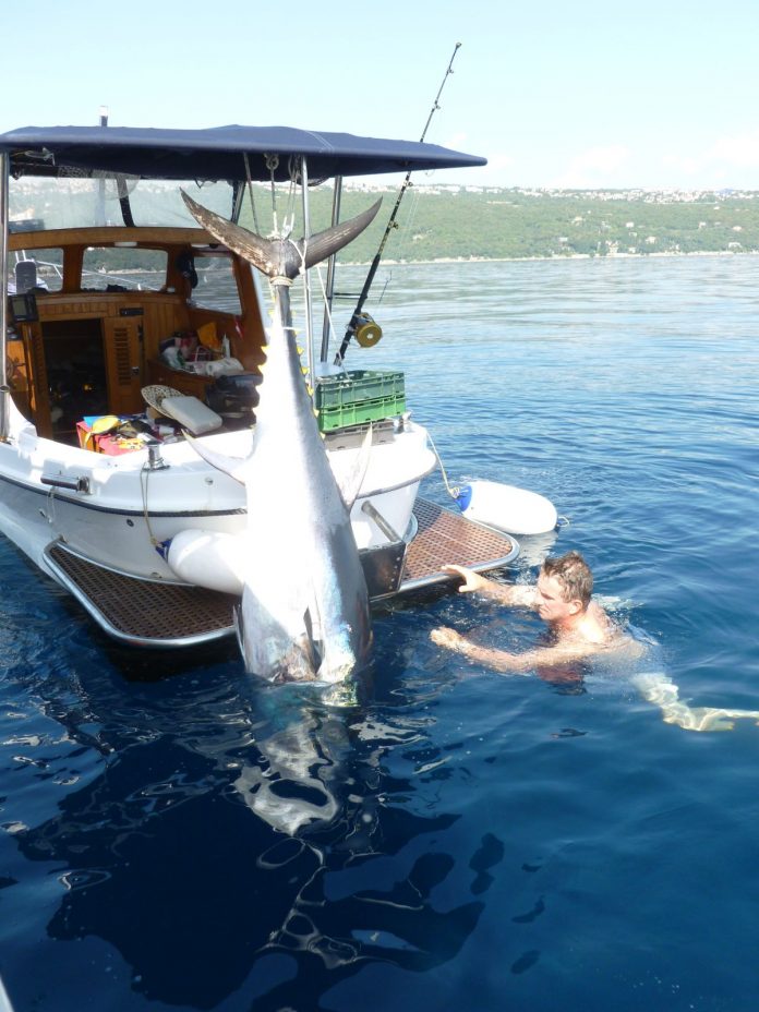 BIG OM bringt erneut Hochseefischer in Omišalj zusammen 6 Kroatien Nachrichten Bild 1 18